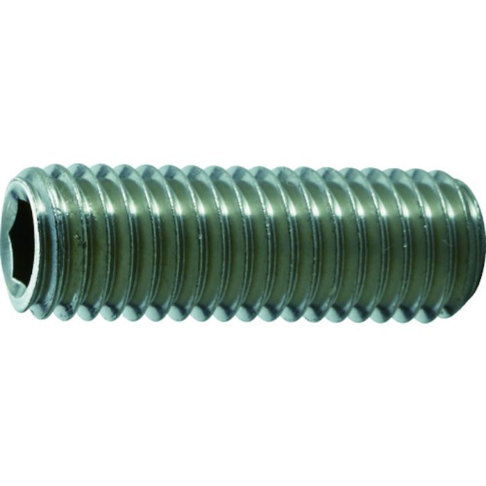 TRUSCO 六角穴付止めねじ 平先 ステンレス M10×30 5本入(Tcode:1162508)