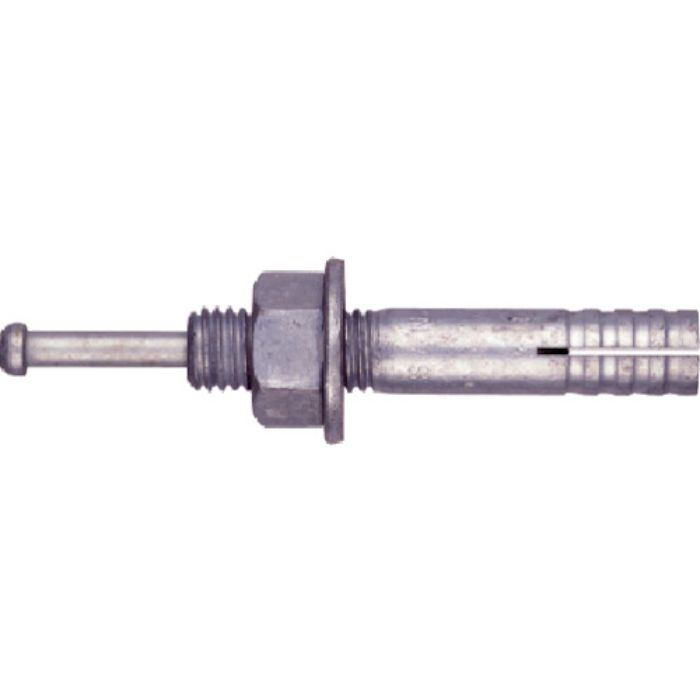 サンコー テクノ オールアンカーCーDタイプ 溶融亜鉛めっき ミリねじ M10(Tcode:5579953)