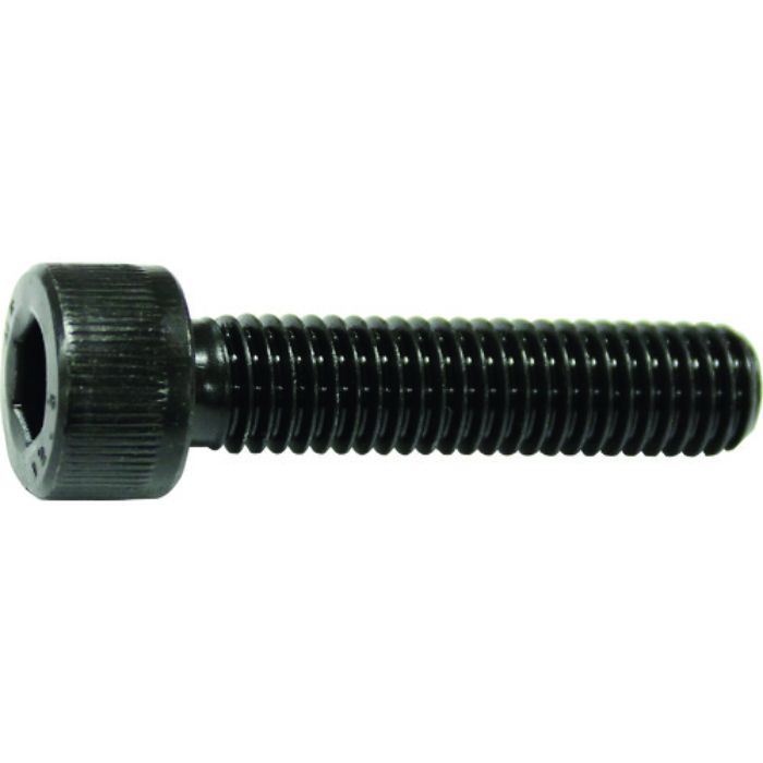 コノエ 六角穴付ボルト全ねじ M20x55(15本入)