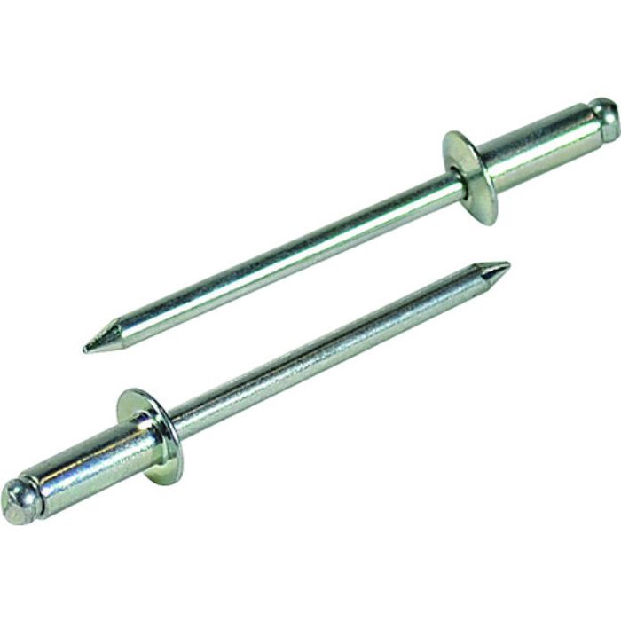 エビ ブラインドリベット(スティール/スティール製) 6-4(35本入) エコパック(Tcode:2027683)