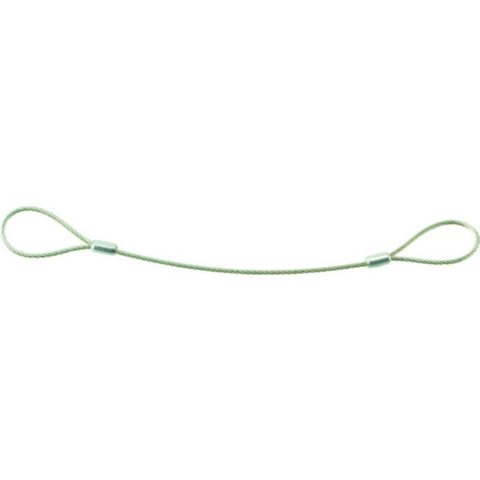 TRUSCO オールステンレスカットワイヤ 3.0ΦX300mm 両端アイ加工(Tcode:1250209)