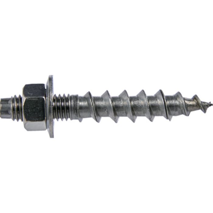 TRUSCO ボルトスクリュー ステンレス M8×60 12本入(Tcode:3645737)