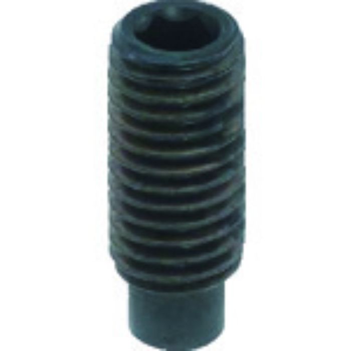 TRUSCO 六角穴付止めねじ 棒先 スチール M5×6 40本入(Tcode:2074207)