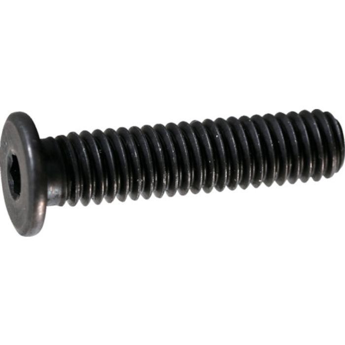 TRUSCO 超低頭キャップボルト スチール黒染め M5×8 10本入 /六角穴付ボルト(CAP) (Tcode:2438973)