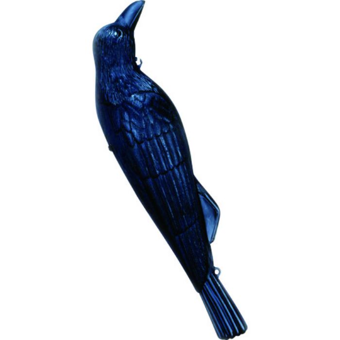 ミツギロン 防鳥用 コワガラス 高さ495mm EG-18(Tcode:3759661)