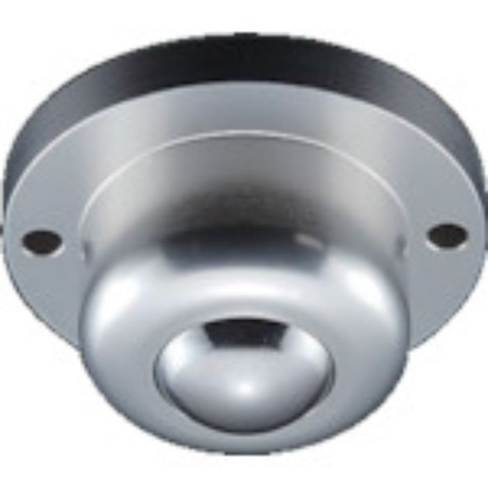 子株付き オアハカ ベアルート株 ボールタイプ_2 ISB イグチベアー取付ベース パズル赤色(Tcode:4807685)の通販