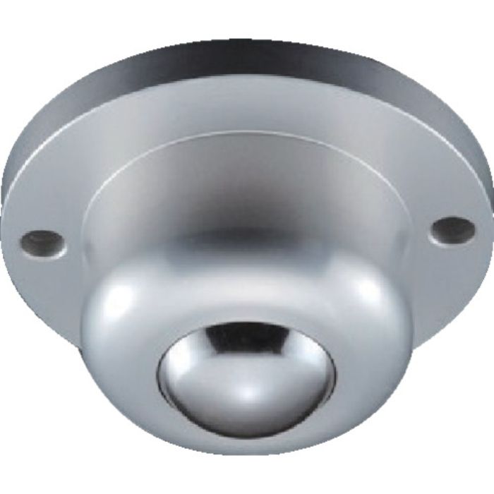 プレインベア ボールキャスター プレインベア 下向き用 フランジタイプ スチール製 PV260FM 許容荷重500kg(Tcode:8560308)