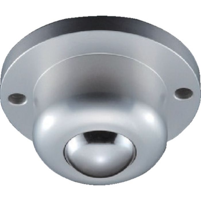 プレインベア ボールキャスター プレインベア 下向き用 フランジタイプ ステンレス製 PV260FMS 許容荷重500kg(Tcode:8560321)