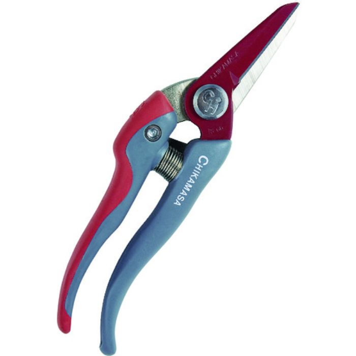 チカマサ ウルトラロッソG(Tcode:4094905)