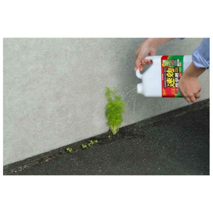 IRIS　110883　速効除草剤　2Lの説明画像5