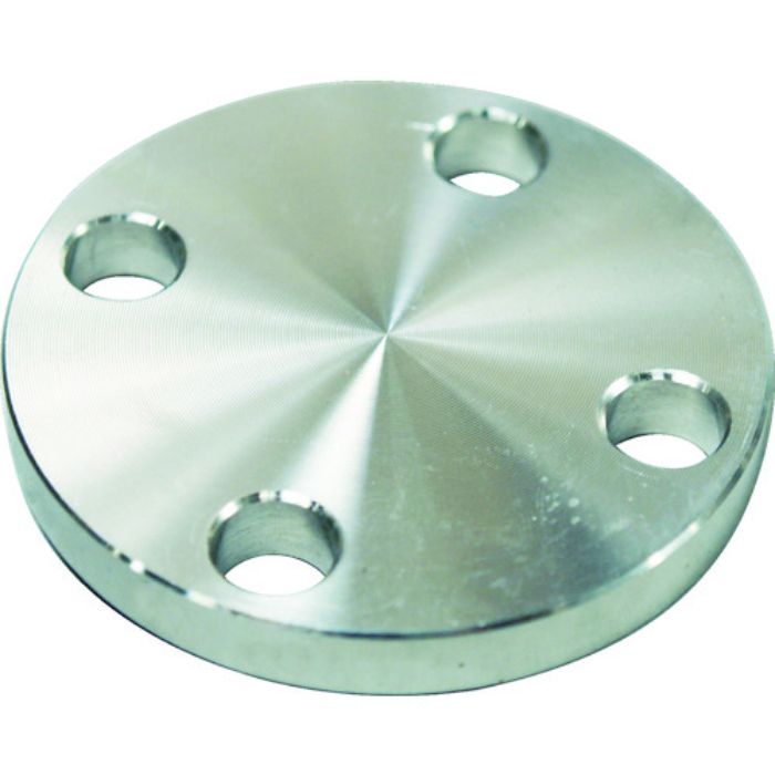 フローバル SUS304 5K 閉止フランジ 14100553(Tcode:4446003)