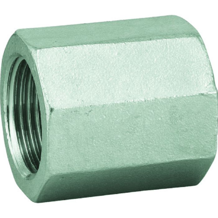 フローバル 六角PTソケット(SCS13A) 04101201(Tcode:7339488)