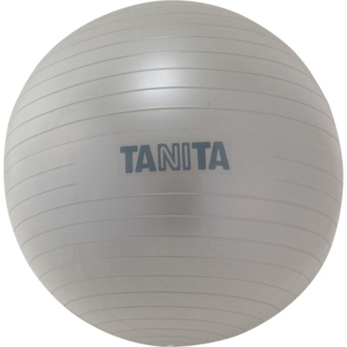 TANITA ジムボール TS-962-SV(Tcode:2684921)