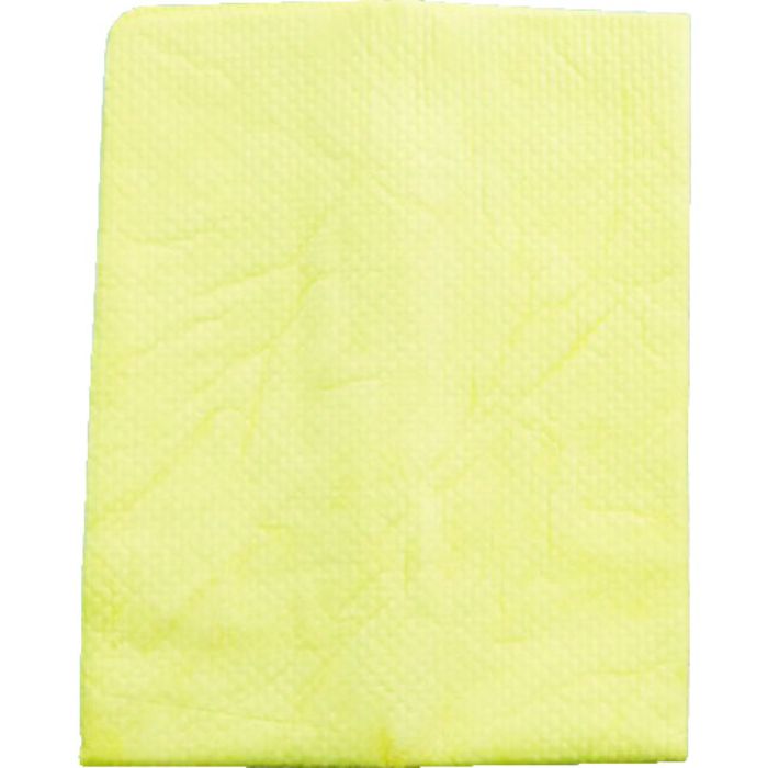 AION プラスセーヌ ボディ&ガラス レギュラー2枚セット(Tcode:4973917)