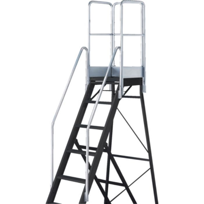 TRUSCO 踏み台TDAD用フルセット手すり 高さ1100mm 本体高さ2.10m用(Tcode:1157863)