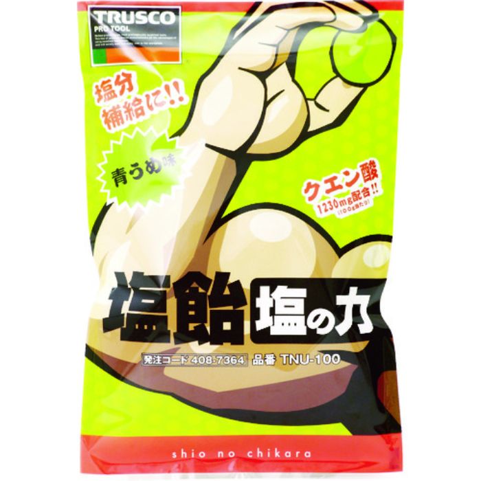 TRUSCO 【在庫限りで今季完売】【※軽税】塩飴 塩の力 100g袋入 青梅味 (1袋入)(Tcode:4087364)
