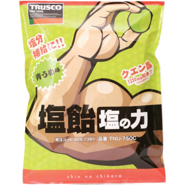 TRUSCO 【在庫限りで今季完売】【※軽税】塩飴 塩の力 750g 青梅味 詰替袋 (1袋入)(Tcode:4087381)