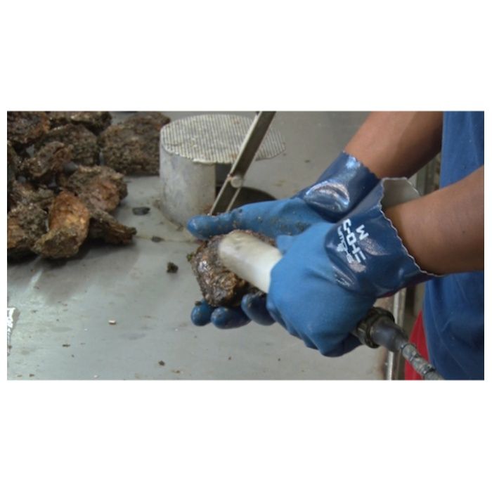 【まとめ買い】 SHOWA(ショーワ) ニトリルゴム手袋 簡易包装ニトローブ10双入 ブルー Mサイズ (Tcode:8186284)の説明画像5