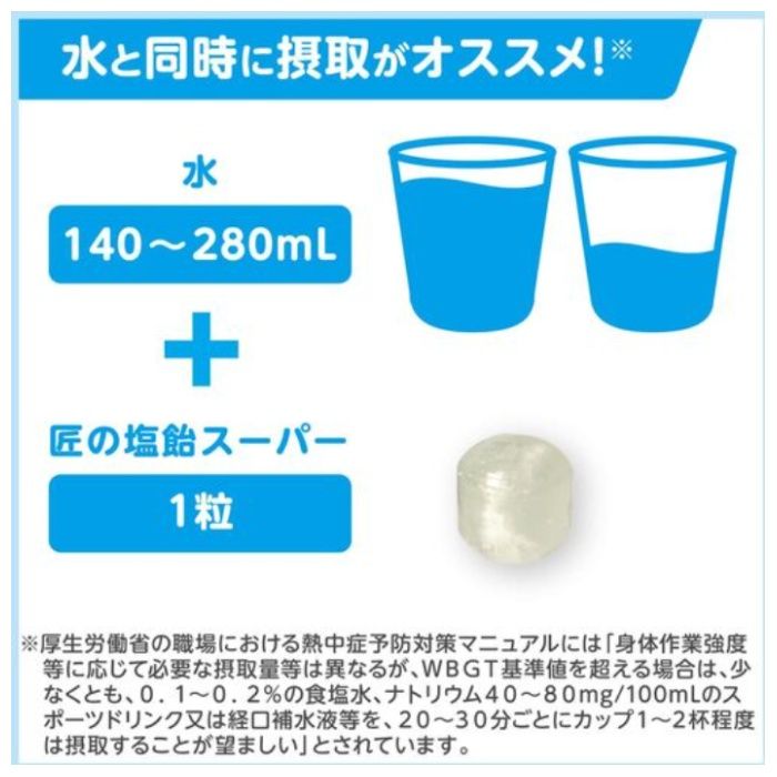 サラヤ　【※軽税】　匠の塩飴スーパー　グレープフルーツ・ヨーグルトアソート750gの説明画像5