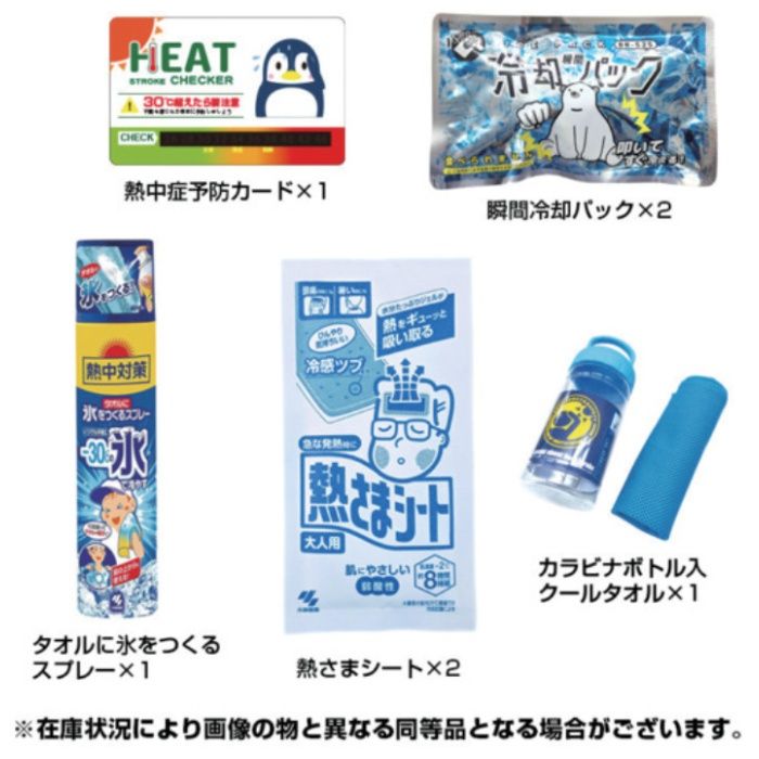 ブレイン　熱中対策キットの説明画像2