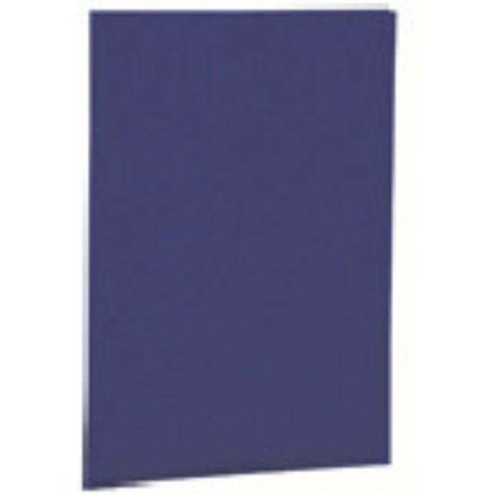 ナカバヤシ 証書ファイルクロス/B5/紺(Tcode:7239254)