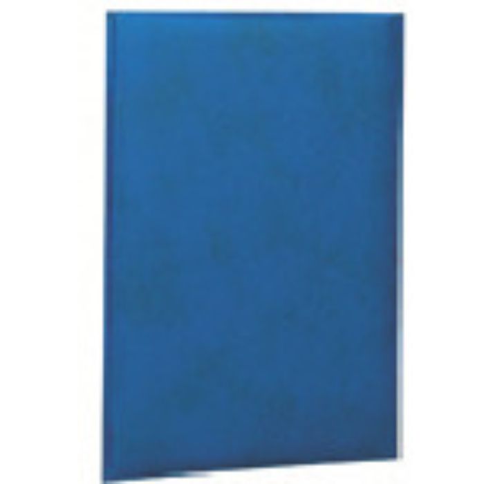 ナカバヤシ 証書ファイルレザー/B5/紺(Tcode:3986225)