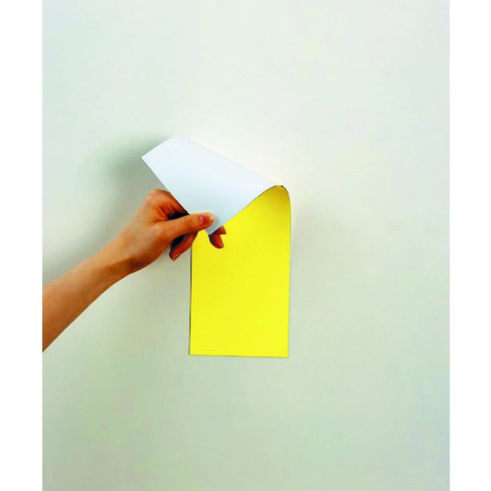 マグエックス マグネット両面カラーシート黄白(Tcode:3619052)