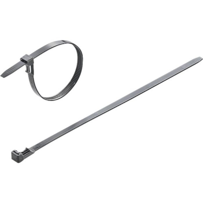 ワイドミュラー ケーブルタイ リピートタイプ(Tcode:3654436)