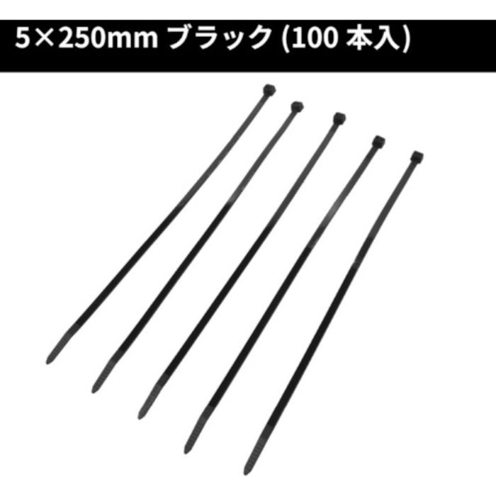 アストロプロダクツ AP 結束バンド250mm 100本入り(Tcode:2149597)