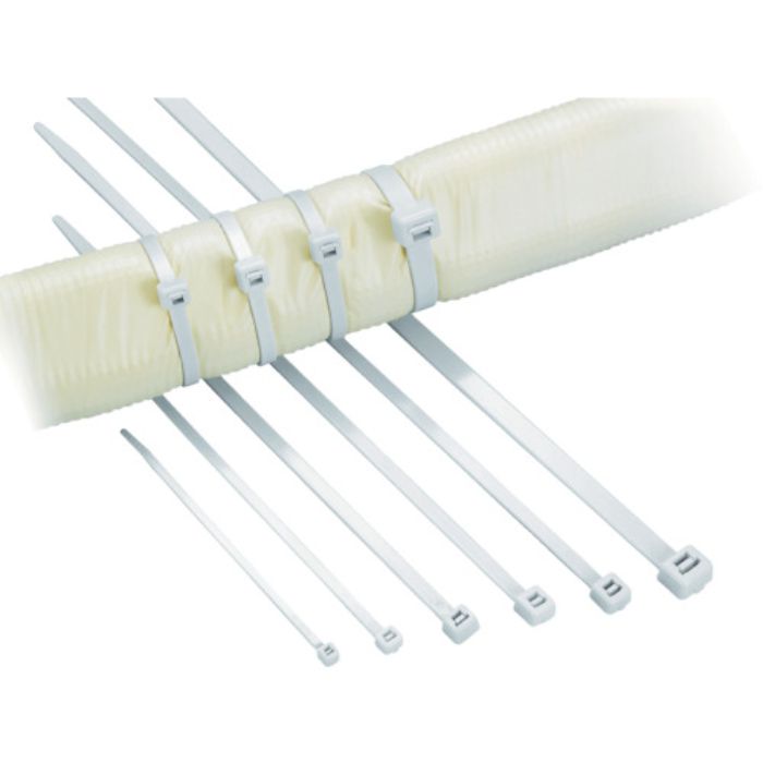 ヘラマンタイトン ABタイ 幅2.5X長さ100mm 屋外用(100本入)(Tcode:4336909)