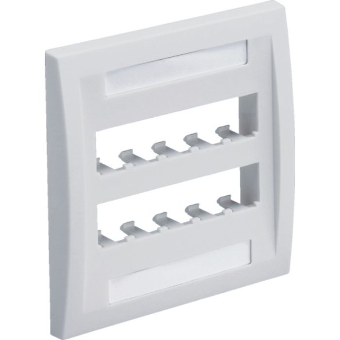 PANDUIT フェースプレート 10ポート用 オフホワイト(Tcode:8281449)