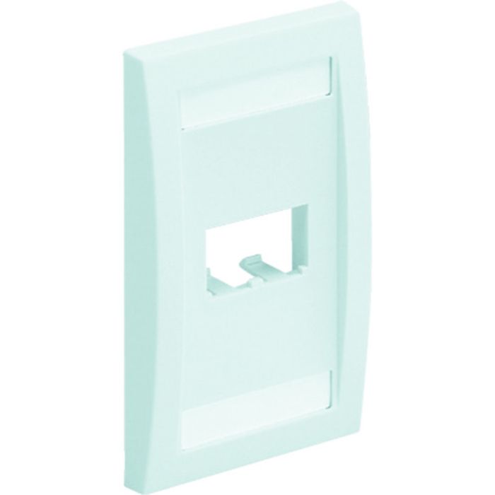 PANDUIT 2ポート用フェースプレート(Tcode:8146595)