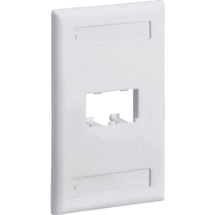 PANDUIT スイッチボックス用フェースプレート 2ポート用 オフホワイト(Tcode:8281450)
