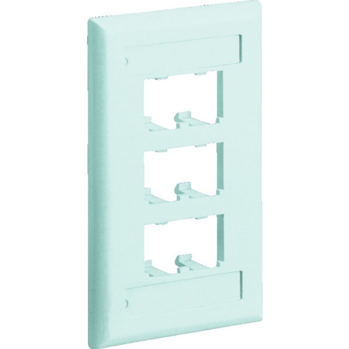 PANDUIT スイッチボックス用フェースプレート 6ポート用 オフホワイト(Tcode:8281453)