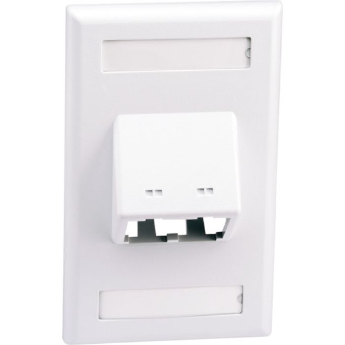 PANDUIT 傾斜型フェースプレート 2ポート用 白の通販｜モジュラー