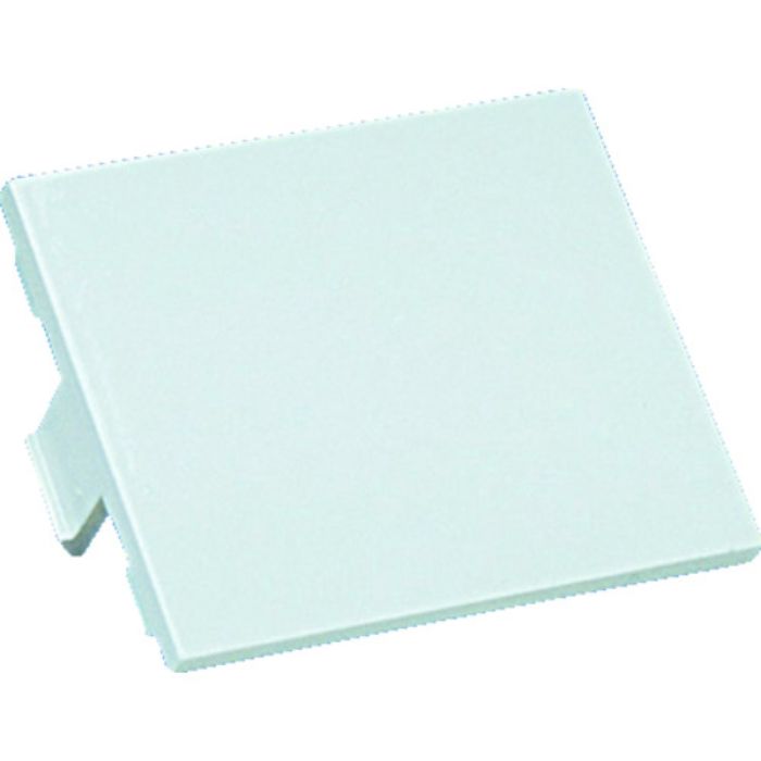 PANDUIT スイッチボックス用フェースプレート枠用1/2サイズブランクアダプタ枠 オフホワイト 10個入(Tcode:8281459)