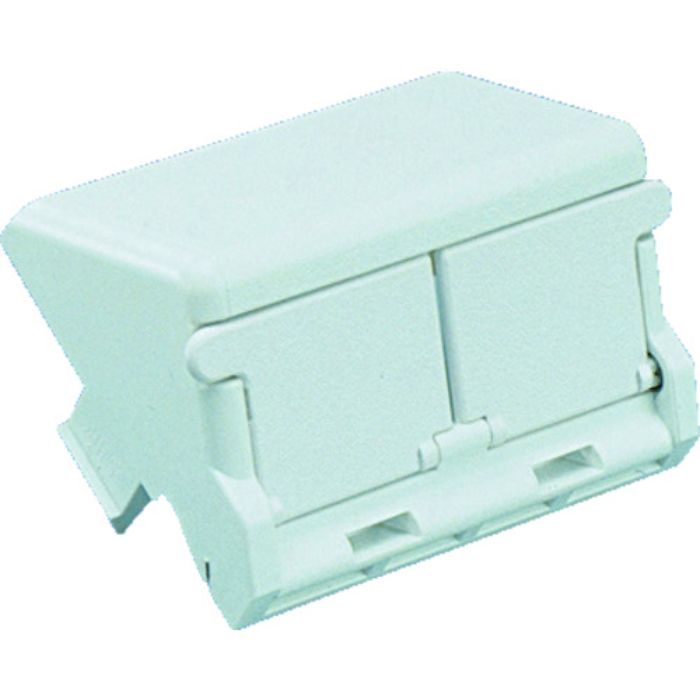 PANDUIT 1/2サイズ2ポート用傾斜型シャッター付きアダプタ枠(10個入)(Tcode:8281462)