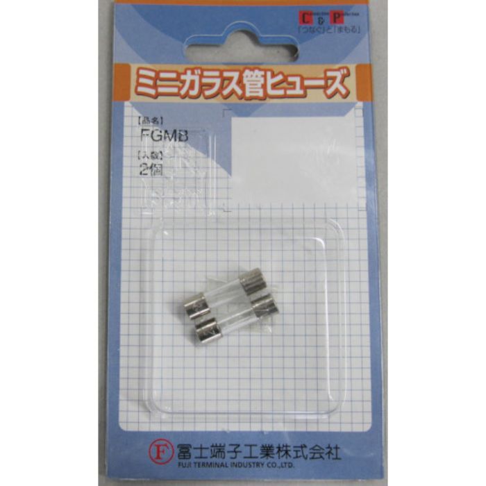 冨士端子 ガラス管ヒューズ (2個入) 10A 5.2×20mm(Tcode:4701879)