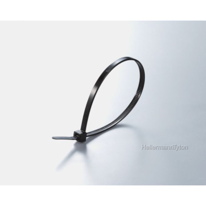 ヘラマンタイトン ガルバロック 幅2.5×長さ100mm 100本入 屋内外兼用(Tcode:4757793)