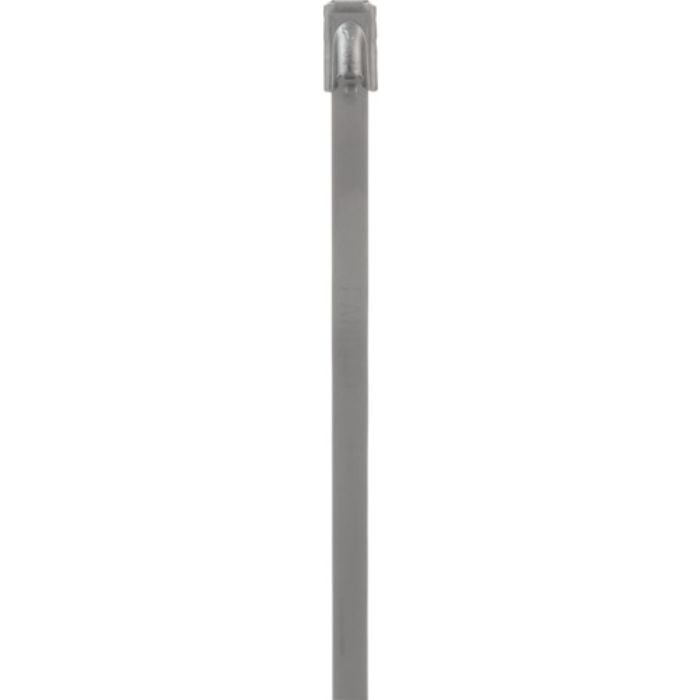 ストロングホールド ステンレススチールバンド SUS304 長さ679mm 幅4.6mm 100本入り IMLT203S-C(Tcode:2394488)