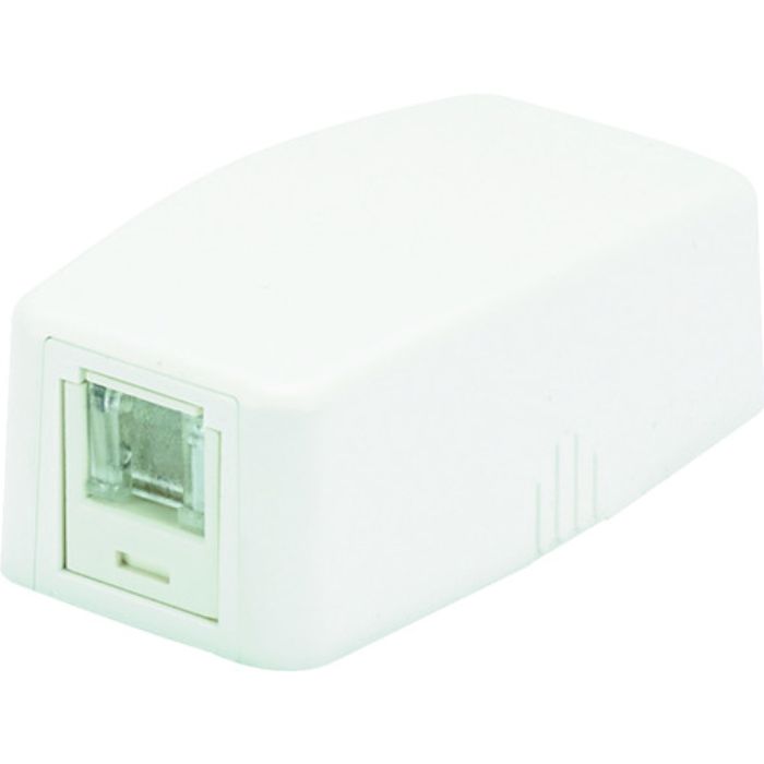 PANDUIT CAT5Eスプリングシャッター付きローゼットキット 1個口 白 JOQ1H500(Tcode:8368101)