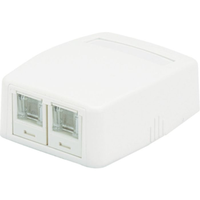 PANDUIT CAT5Eスプリングシャッター付きローゼットキット 2個口 白 JOQ2H500(Tcode:8368742)