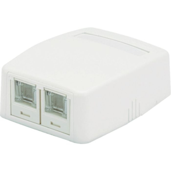 PANDUIT CAT6スプリングシャッター付きローゼットキット 2個口 白 JOQ2H600(Tcode:8368105)