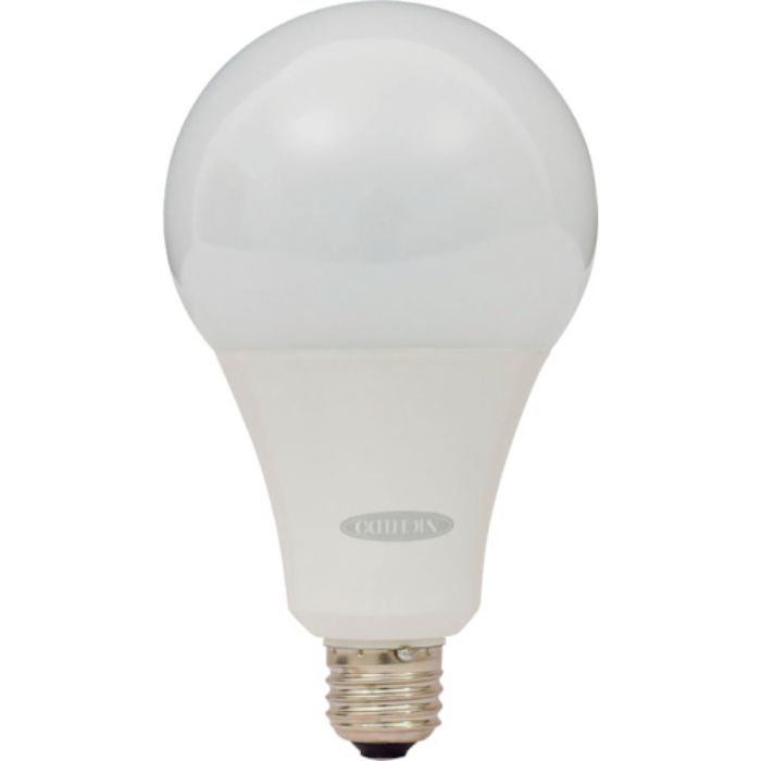 NICHIDO LED電球22W フロスト(Tcode:4110652)