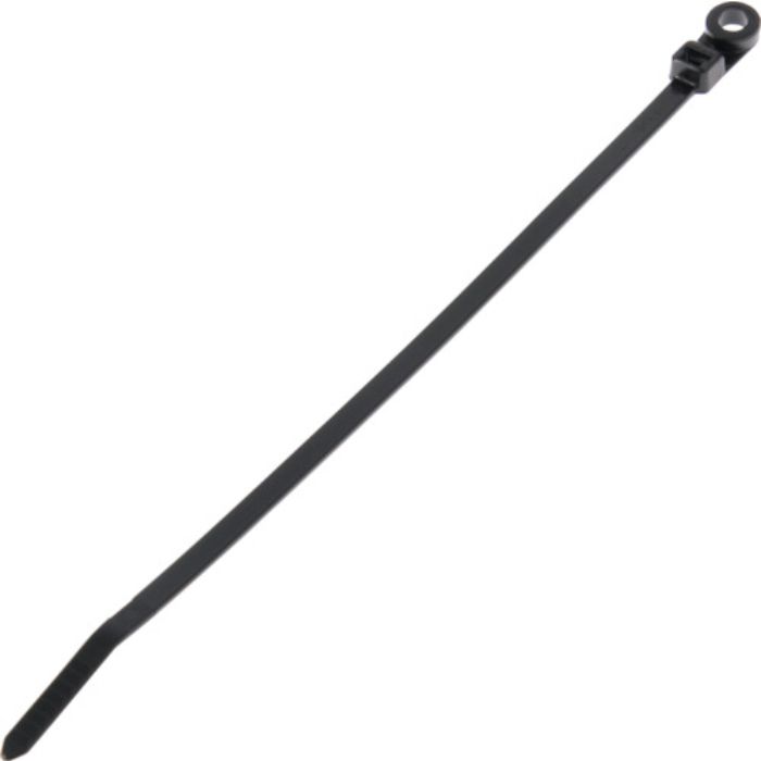 PANDUIT ネジ止めタイプナイロン結束バンド 耐候性黒 (100本入)(Tcode:8146438)
