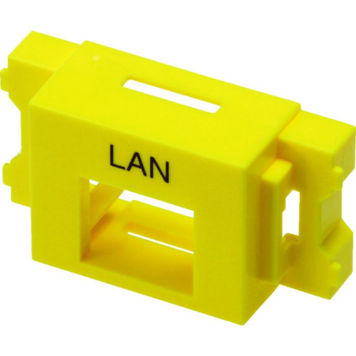 ゆかっこ様 CONVERSE ALL STAR BOARDERSTAR OX / SHINYAKOZUKA｜BILLY'S ENT