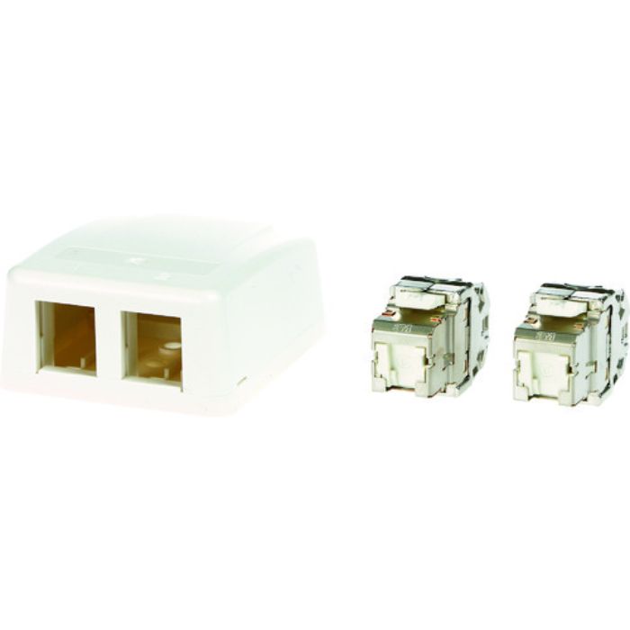 コーニング Cat6A RJ45ジャック+露出型アウトレット(2ポート)(Tcode:8354832)