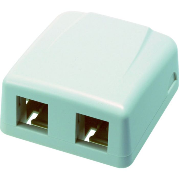 コーニング 2ポート露出型アウトレット(Tcode:7876777)