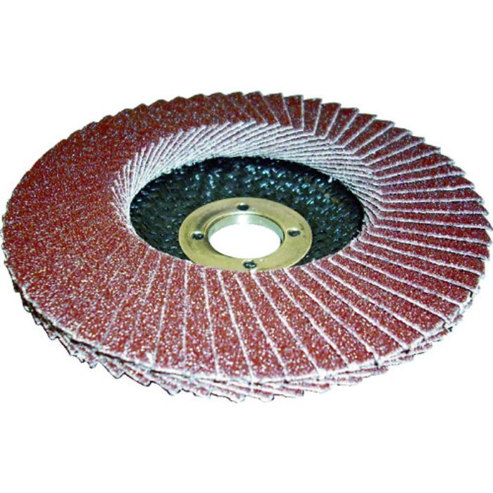 AC PGA-X フラップディスク A(Tcode:3517870)