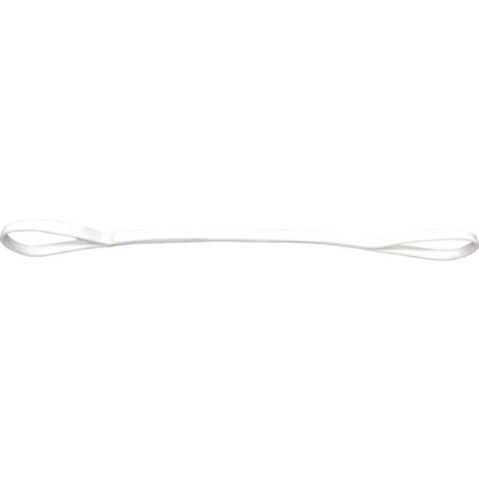 TESAC 耐化学薬品用スリング(JIS2等級・両端アイ形)25mm幅×2.5m(Tcode:7931409)